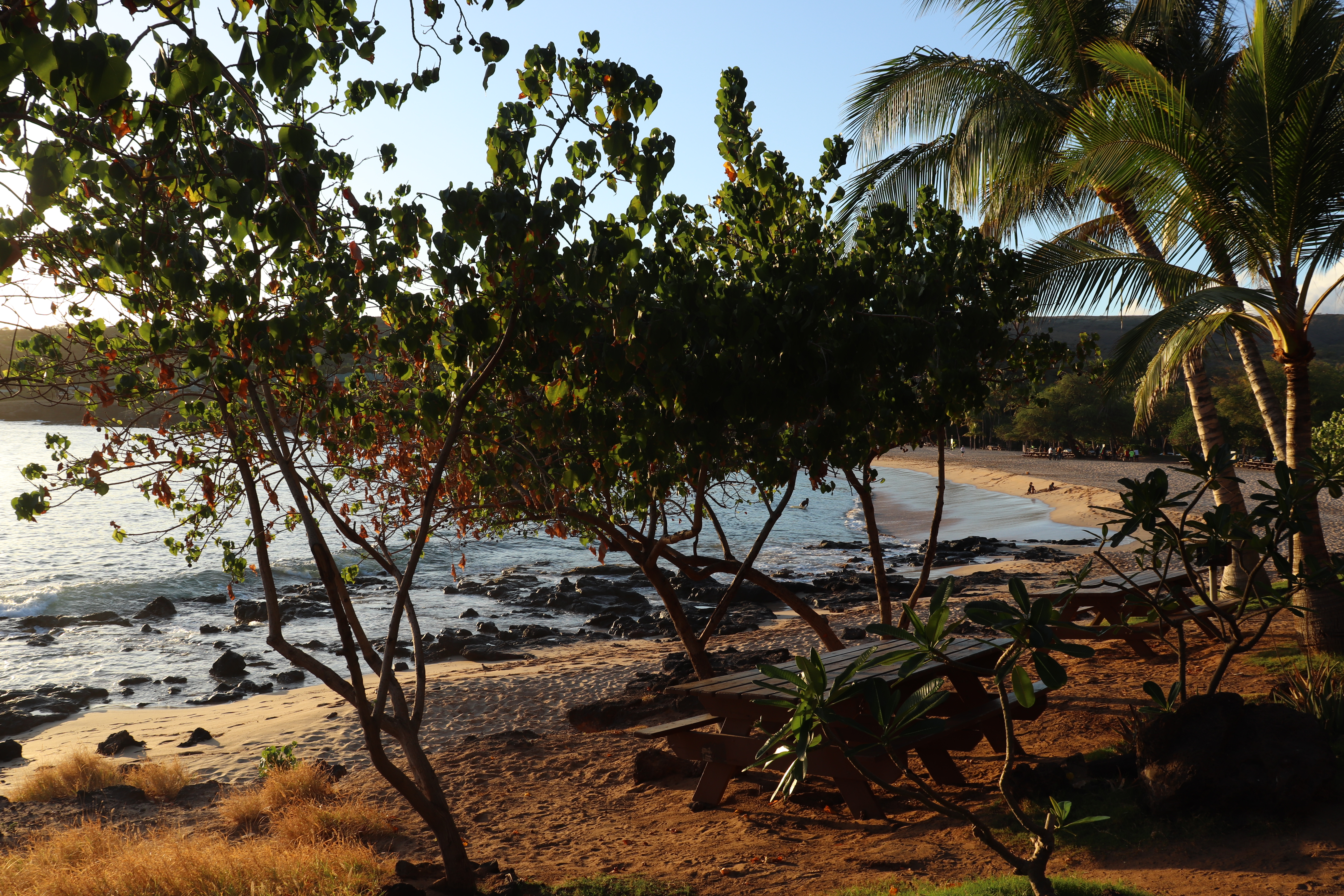 Hawaii, USA April 29 – May 4 2019